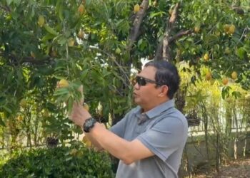 ขอเชิญร่วมงานมะปรางหวาน-มะยงชิด ครั้งที่ 21 จัดขึ้น ณ มหาวิทยาลัยนเรศวร